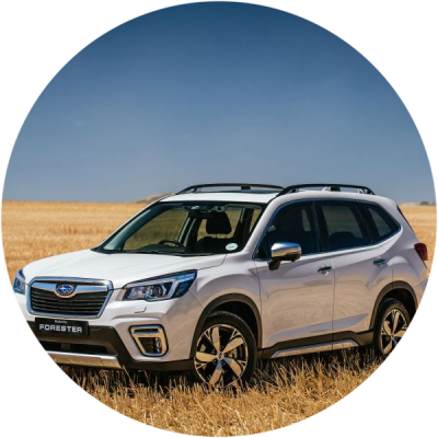Отзывы на ремонт Ремонт вмятин автомобиля Subaru Forester